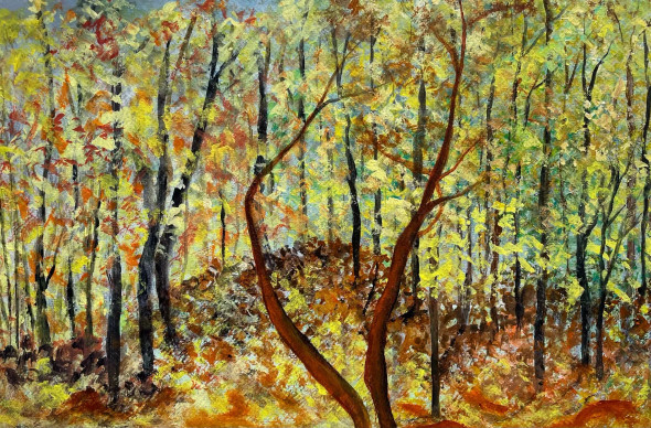 Vibrant Autumn Scene (PRT-8841-119995) - Canvas Art Print - 24in X 16in