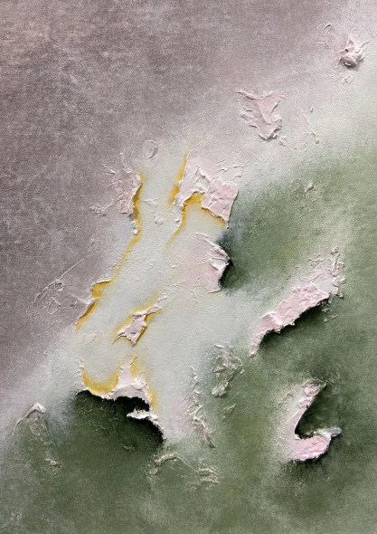 Silent Bloom Of Texture (PRT-8156-121730) - Canvas Art Print - 17in X 24in