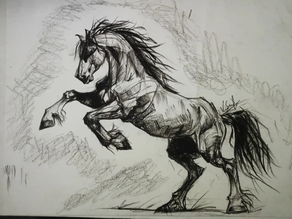 Chetak – The Legendary Horse Of Maharana Pratap | Original Charcoal Drawing (ART-3674-123285) - Handpainted Art Painting - 11in X 8in