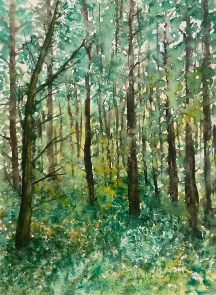 Serene Forest Landscape (PRT-8841-123651) - Canvas Art Print - 18in X 24in