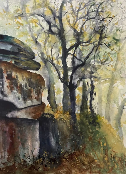 Rocks And Trees (PRT-8841-123941) - Canvas Art Print - 17in X 24in