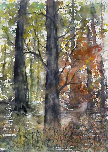 Forest Serenity (PRT-8841-123940) - Canvas Art Print - 17in X 24in