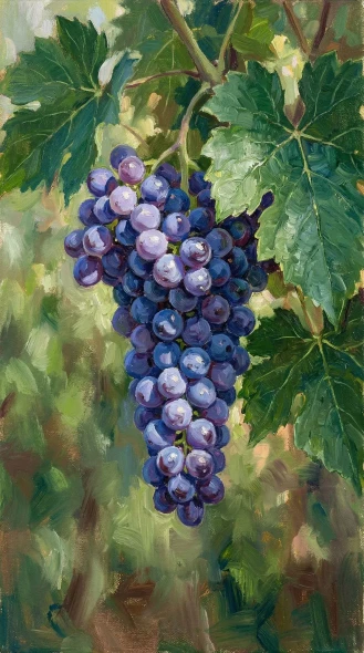 Luminous Violet Vineyard Bounty (PRT-15697-124634) - Canvas Art Print - 33in X 60in