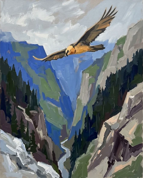 Gliding Lammergeier Gorge Passage (PRT-15697-125679) - Canvas Art Print - 48in X 60in