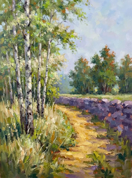 Sunlit Birch Grove (PRT-15697-126996) - Canvas Art Print - 45in X 60in
