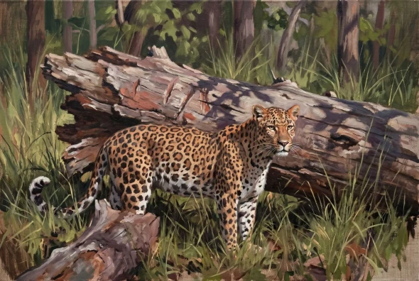 Fallen Semal Timber Pause (PRT-15697-126701) - Canvas Art Print - 60in X 40in