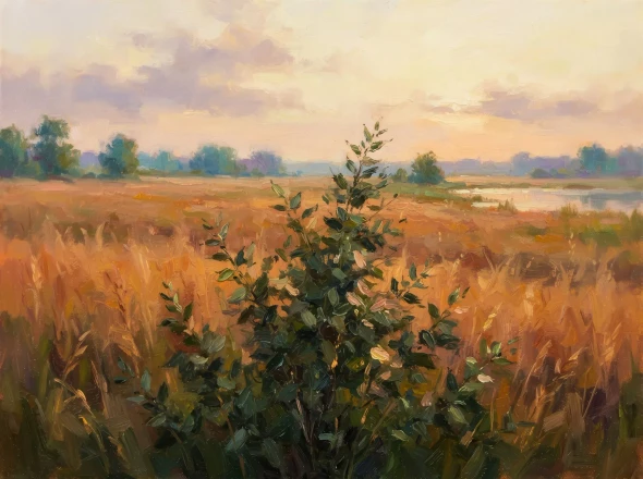 Golden Field At Dawn (PRT-15697-127143) - Canvas Art Print - 60in X 45in
