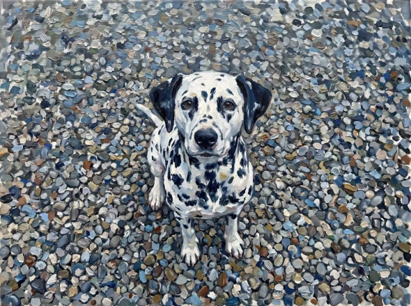 Pebbles And Spotted Coat (PRT-15697-127151) - Canvas Art Print - 60in X 45in