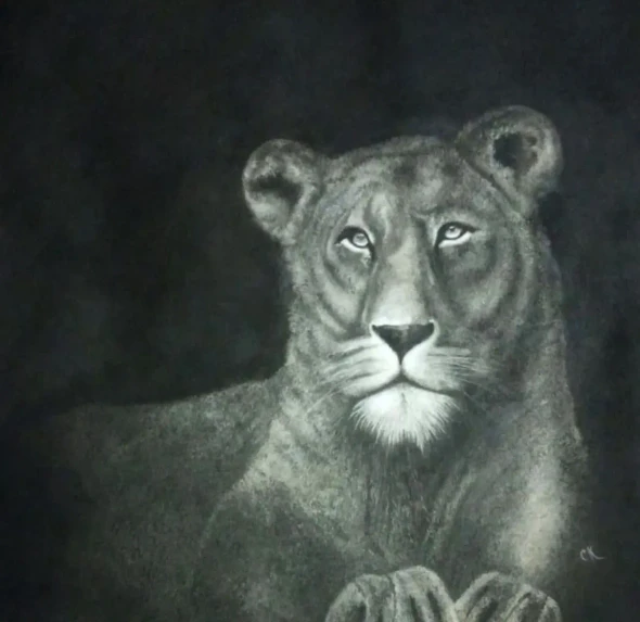 Lioness (ART-19251-127779) - Handpainted Art Painting - 18in X 18in