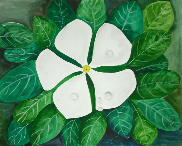 White flower with water drops  (ART_1403_11778) - Handpainted Art Painting - 14in X 11in