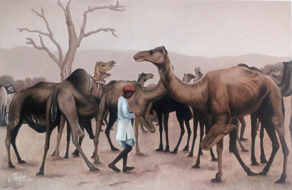 Camel (ART_1090_14411) - Handpainted Art Painting - 34in X 22in