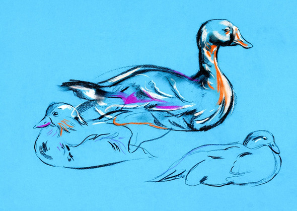 duck paintings,56Anm118,MTO_1550_15213,Artist : Community Artists Group,Mixed Media