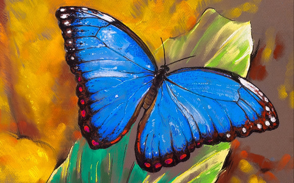 beautiful butterfly paintings,56Anm115,MTO_1550_15211,Artist : Community Artists Group,Mixed Media