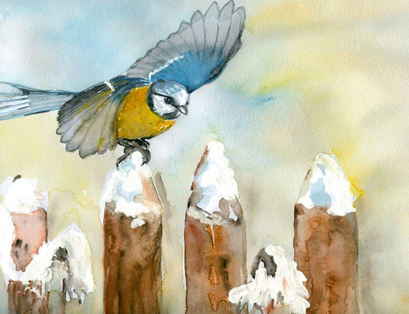 bird paintings,56Anm160,MTO_1550_15233,Artist : Community Artists Group,Mixed Media