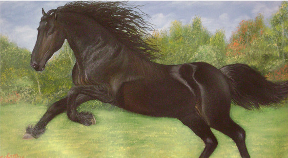 Black Beauty (ART_976_12197) - Handpainted Art Painting - 22in X 12in