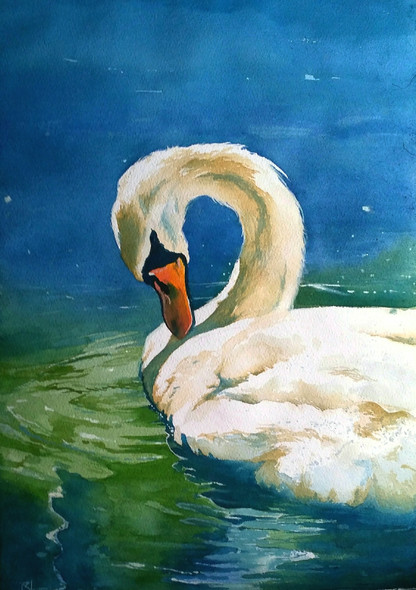 Swan (ART_558_19478) - Handpainted Art Painting - 14in X 21in