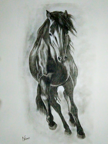 Wild Horse (ART_2819_20552) - Handpainted Art Painting - 14in X 22in