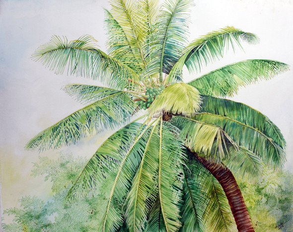 Coconut Tree (ART_2442_22041) - Handpainted Art Painting - 27in X 21in