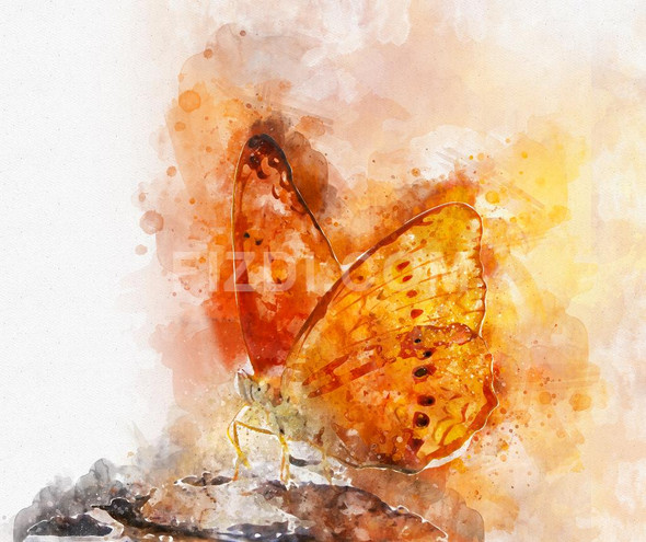 Butterfly (PRT_52) - Canvas Art Print - 25in X 21in