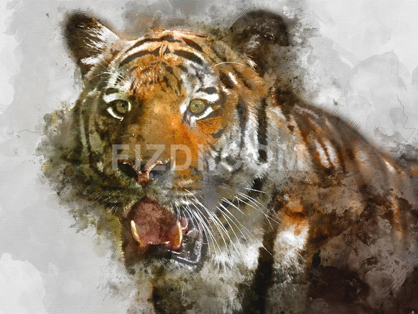 Wild Siberian Tiger (PRT_72) - Canvas Art Print - 28in X 21in