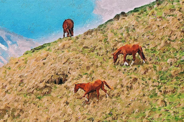 Horses Grazing On Green Mountain (PRT_212) - Canvas Art Print - 18in X 12in