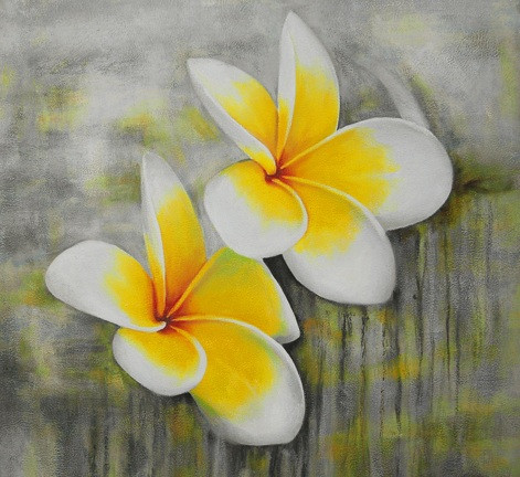 FIZ032NTR - 32in X 32in,FIZ032NTR_3232,Oil Colors,Canvas,Yellow and White flower,Green Background,Museum Quality - 100% Handpainted,White, Light Shades,45X45 Size,Flowers, Animals, Nature Art Canvas Painting Buy canvas art painting online fo