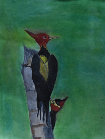 Kingfisher birds (ART_4292_28987) - Handpainted Art Painting - 9in X 11in