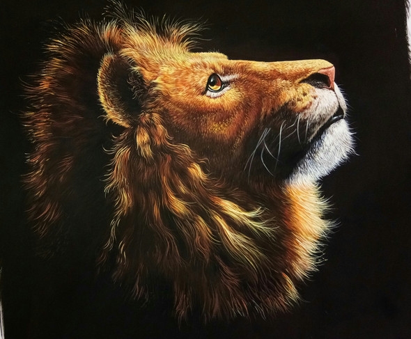 Lion- The King Of Woods (ART_3319_29444) - Handpainted Art Painting - 30in X 24in