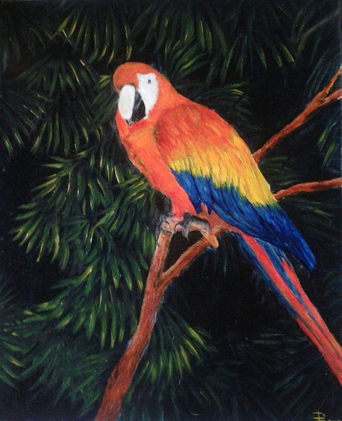 Parrot (ART_6442_37019) - Handpainted Art Painting - 10in X 12in