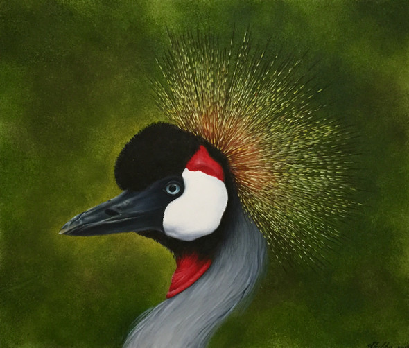 Grey crowned crane (ART_6428_37075) - Handpainted Art Painting - 13in X 11in