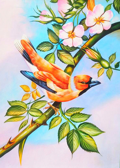 Birds painting  (ART_6706_39497) - Handpainted Art Painting - 24in X 24in