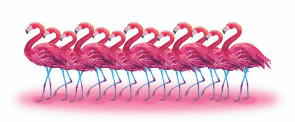 The Group Of Flamingo (PRT_1244) - Canvas Art Print - 67in X 28in