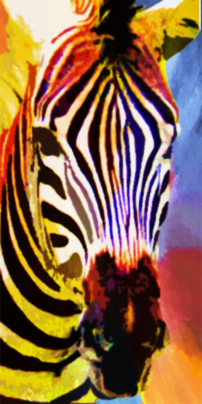 28Animal77 - 24in X 48in,28Animal77_2448,Zebra,Animal,Jungle,Nature,Oil Colors,MuCanvas,lti-Color,Rs.3790,Latest Collection;Equestrian Art and Wildlife;By Orientation and Size/Vertical/X.Large (41in to 50in);Full Collection,Community Artists Group,Mu