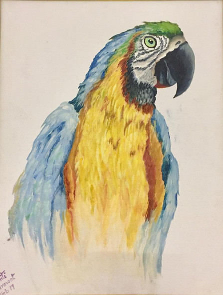 Blue and gold macaw with a firm focus (ART_6178_41838) - Handpainted Art Painting - 18in X 14in
