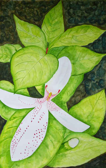 White Flower with pink dots (ART_1403_41793) - Handpainted Art Painting - 14in X 22in