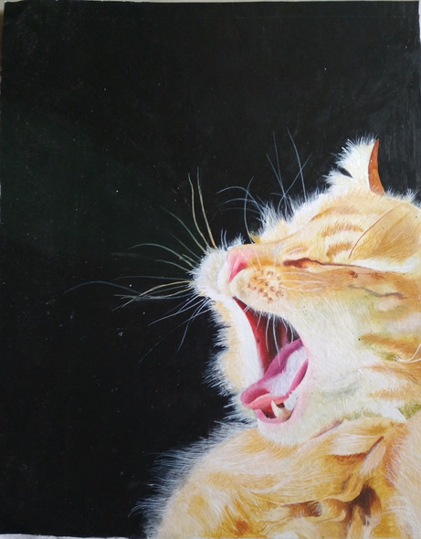 Cat (ART_7062_41934) - Handpainted Art Painting - 12in X 18in