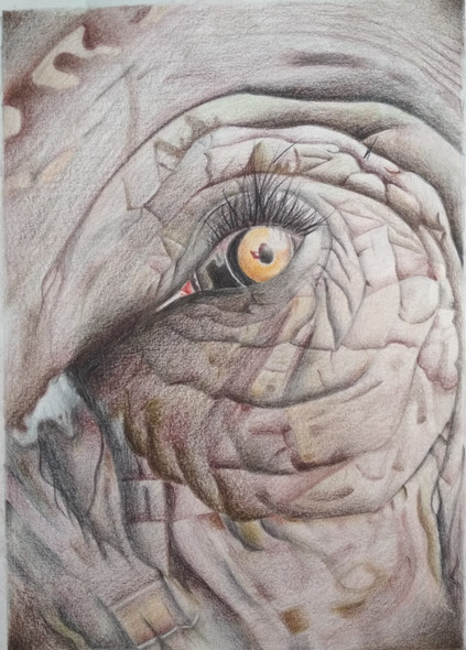 An Elephant's Eye (ART_7062_41921) - Handpainted Art Painting - 12in X 18in