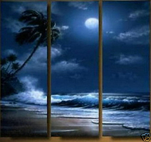 sea, night, sea at night, tides, moon, tree, waves