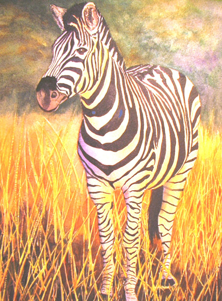 Zebra painting (ART_4772_43165) - Handpainted Art Painting - 23in X 30in