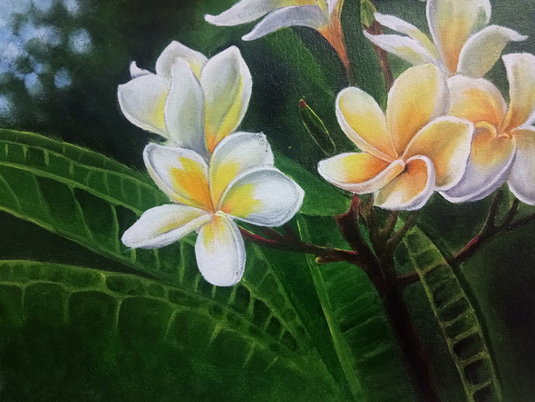 White Champa (ART_3674_43785) - Handpainted Art Painting - 12in X 12in