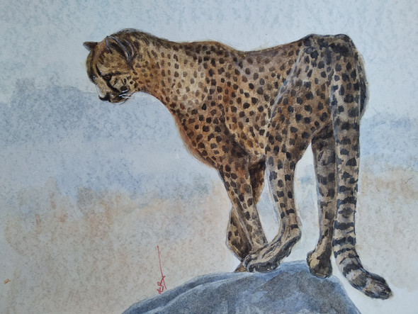 Wild life (ART_1559_44120) - Handpainted Art Painting - 12in X 10in