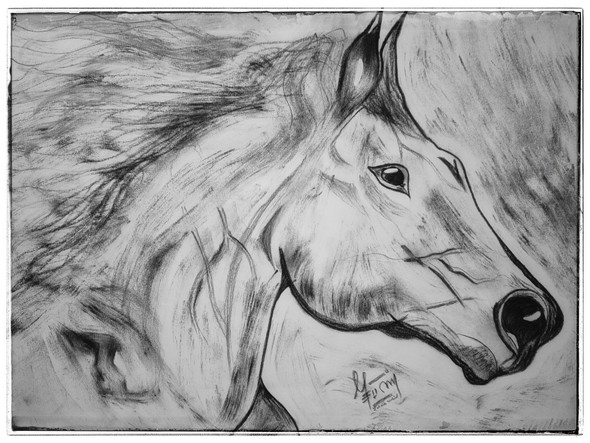 Horse (ART_5227_45476) - Handpainted Art Painting - 16in X 12in