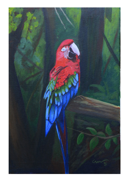 Color full Parrot (ART_1388_46031) - Handpainted Art Painting - 18in X 24in