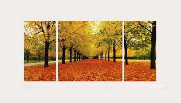 tree, trees, forest, orange leaves, multi piece forest, green forest