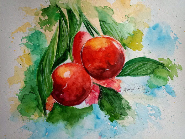 Apples (PRT_7337_48054) - Canvas Art Print - 32in X 24in