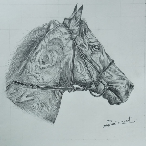 Horse (ART_681_47886) - Handpainted Art Painting - 16in X 12in