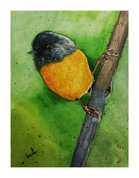 Golden-breasted Fulvetta (ART_7317_49492) - Handpainted Art Painting - 5in X 7in