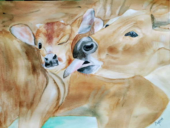 水彩壁絵 Watercolor *The Tender Calf Calf* 水彩壁絵 Watercolor *The Tender Calf Calf* 水彩壁絵