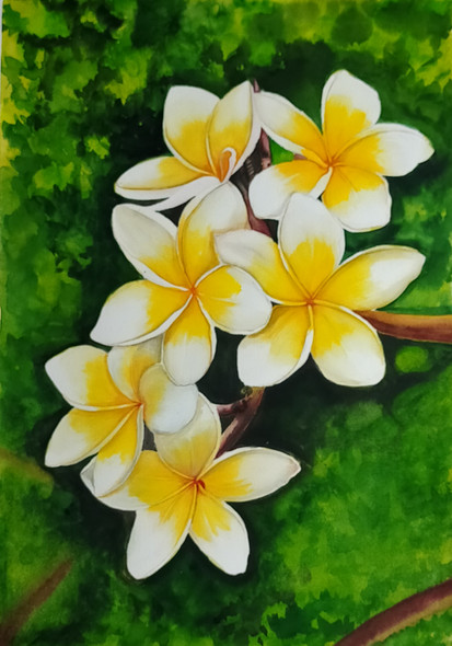 Exotic Plumeria art (ART_7635_50630) - Handpainted Art Painting - 11in X 15in