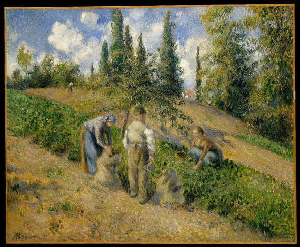 The Harvest, Pontoise (La R√©colte, Pontoise) by Camille Pissarro
(PRT_4334) - Canvas Art Print - 22in X 18in